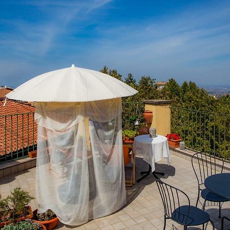 B&B Buonfiglio Cicconcelli - Terrazza Panoramica Frascati Exteriér fotografie