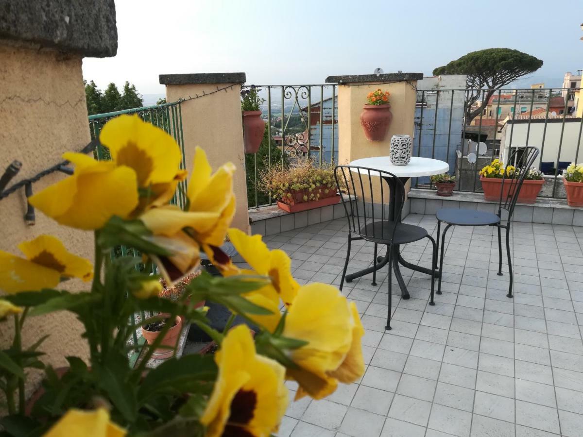 B&B Buonfiglio Cicconcelli - Terrazza Panoramica Frascati Exteriér fotografie